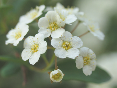 Whether or not we notice them, they`re quietly at work.