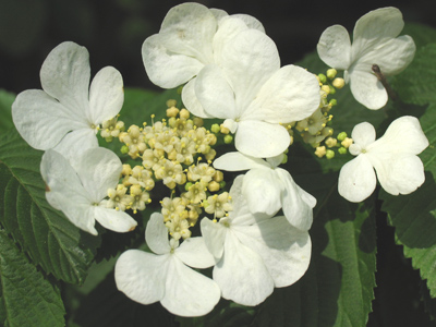 You see a lot of pictures like this, but the amazing thing is that they`re all different.