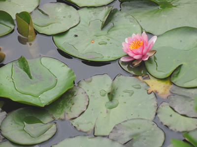 Maybe it`s time to clean my bathtub.