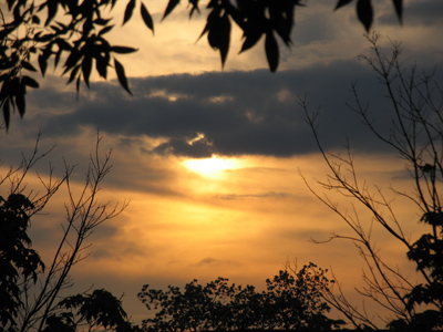 It`s never a good thing when my first picture of the day isn`t taken until sunset.