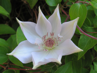 Today`s perfection is tomorrow`s decay.