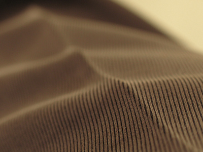 The Landscape of My Leg;  or, Nice Pants.