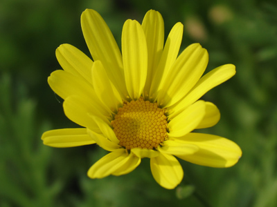 Why do some people prefer seasons other than spring?