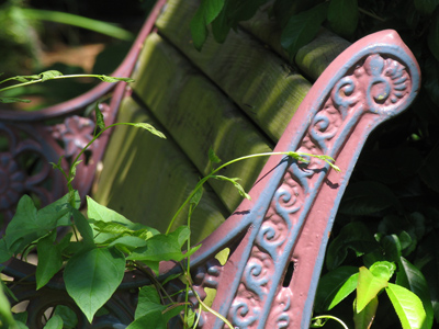 Benched for the season.