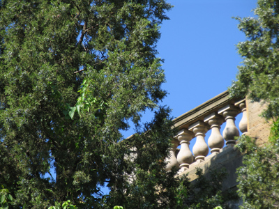 A hint of civilization.