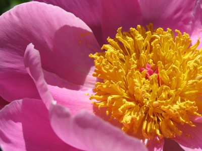 It was so sunny I couldn`t even see, but the picture turned out okay.