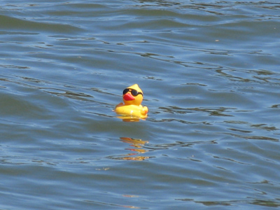 The pool isn`t as crowded this year (see July 3).