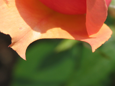  . . . leaving this odd gash.