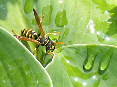 Good to the last drop.