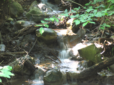 Water is always more interesting when it`s moving.