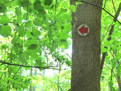 Signs of civilization in the wilderness.