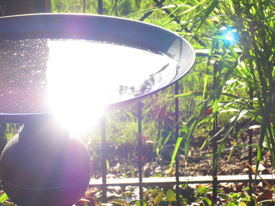 Construction workers looked on, bewildered by me (or perhaps embarrassed for me).