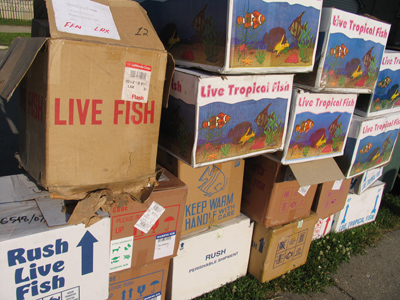 There`s a new sushi restaurant in town.