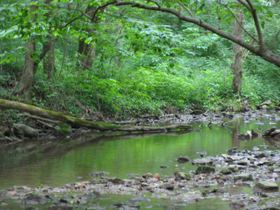 I saw Glen, but didn`t see Helen.