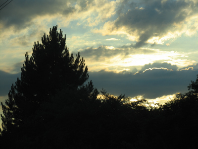 There is always some uncertainty when taking pictures, but this factor is enhanced when traveling at 65MPH.