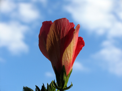 Okay, I admit -- in this one, I did put the clouds there.