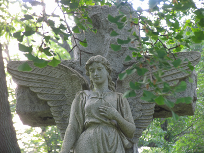 Angel of the Morning.