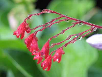 A blazing hot day ended with a violent thunderstorm.