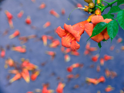 The same location as June 16, 2004.