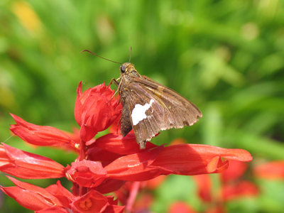 Look at the background.  I wonder if this is what they see?