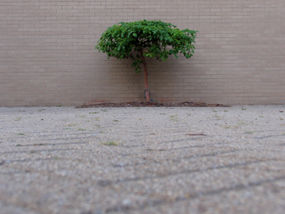 It came up to my hip.