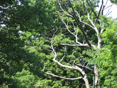 Sometimes all I can say is, you had to be there to see what I saw.