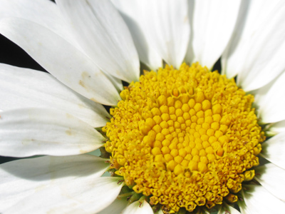 Yes, I`ve done this shot before, but I still can`t get over it.