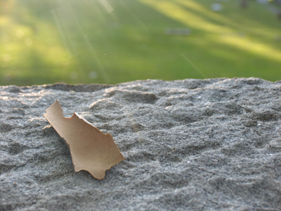 Sometimes I have to provide my own horizon.