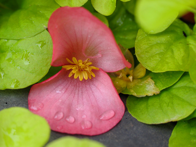 Meanwhile, three feet to the left, a happier scene.