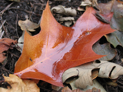 And, on the ground, a sign of things to come.