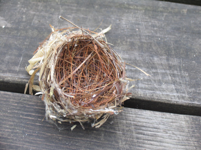 About the size of a tennis ball.  Sleeps four!