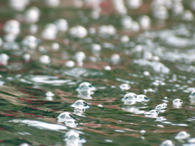 Tiny bubbles.