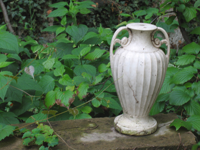 Amphora?  Am for a what?