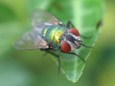 Hope you`re not eating dinner.