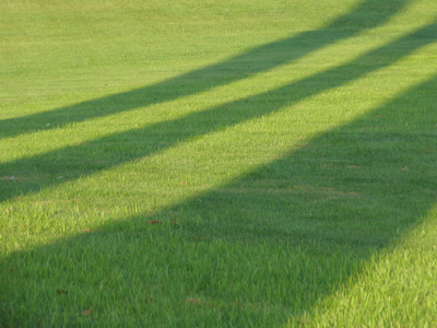 Presentiment � is that long Shadow � on the Lawn. EMILY DICKINSON