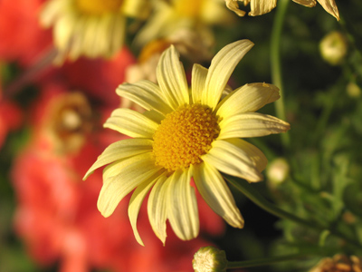 Sunny today, hot tamale.