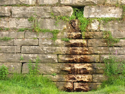 Water from the rock.