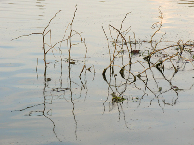 Homage to Brother John Lemker.