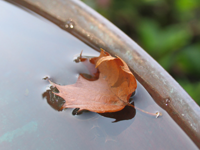 A sign of things to come.