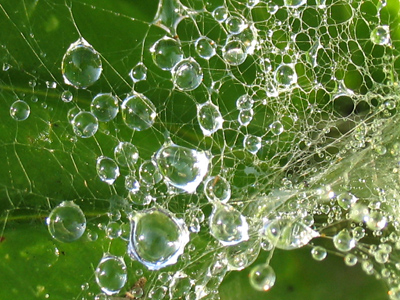 The stuff that holds the universe together.