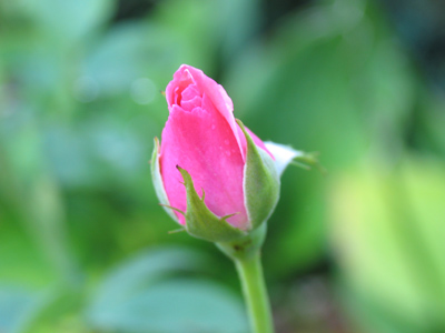 Nothing much . . . just perfection.