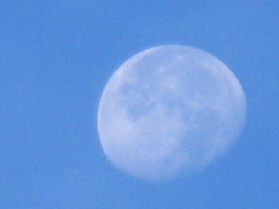 If people would only stop to consider what this actually is, their lives would be profoundly changed.