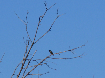 Autumn came early this year.