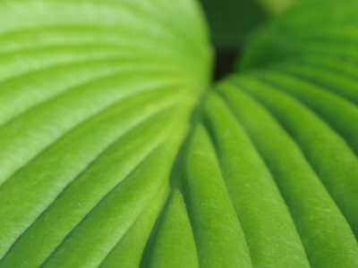 Quilted for comfort.