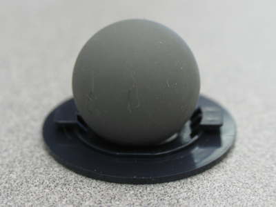 I dissected a mouse today . . . 