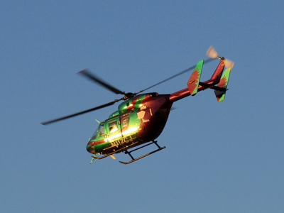 Reminds me of the dragonfly on June 9, 2005.