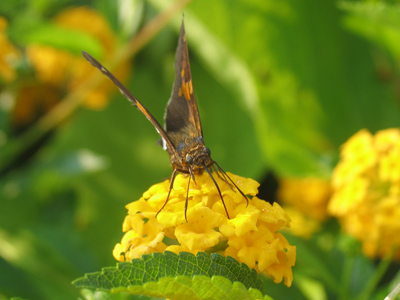 Never mix drinking and flying.