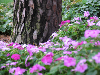 Textures and colors.