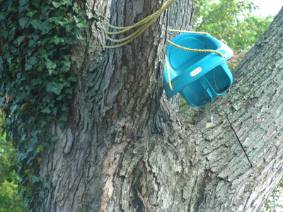 Hang on, Billy!  Billy?