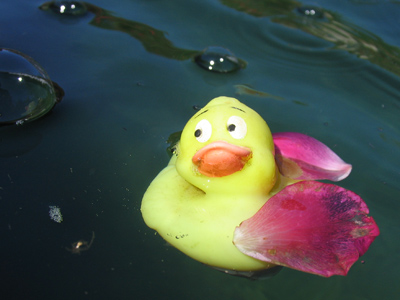 Rubber ducky, you`re the one.  You make bathtime so much fun. Rubber ducky, I`m awfully fond of you.